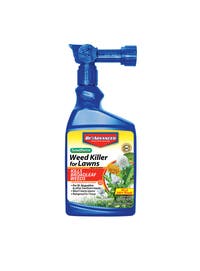 Southern Weed Killer For Lawns-32 oz. Ready-To-Spray